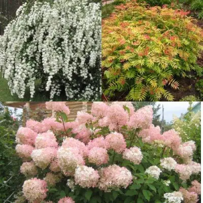 Комплект ФЕЙЕРВЕРК ЛЕТА в Минске