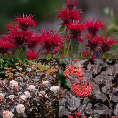 Комплект ОГНЕННЫЙ МИКС в Минске