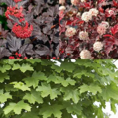 Комплект ОСЕННИЙ КОСТЕР в Минске