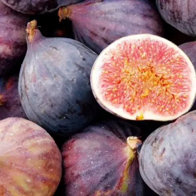 Инжир МУАССОН в Минске