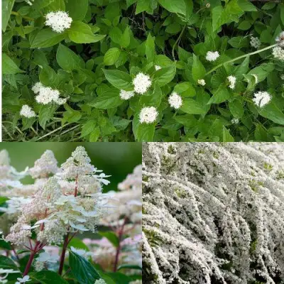 Комплект СКАНДИНАВСКИЙ СТИЛЬ в Минске