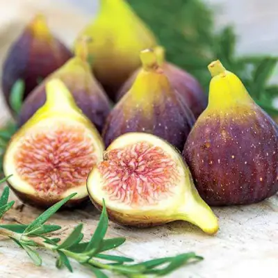 Инжир НИКИТСКИЙ в Минске