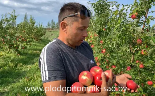 Превью видео