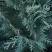 Кипарисовик ВАН ПЕЛЬТС БЛЮ лавсона в Минске