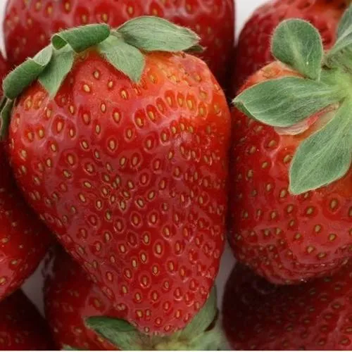 Клубника ФЛАМИНИЯ в Минске