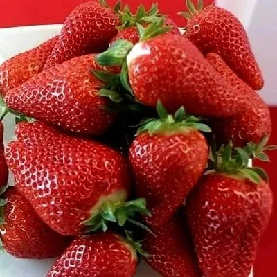 Клубника БРИЛЛА  Клубника БРИЛЛА в Минске