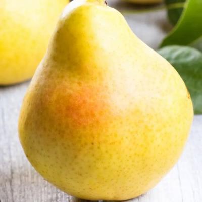 Желтая в Минске