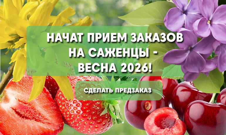 Сезон осень 2025 завершён — открыт приём заказов на весну 2026