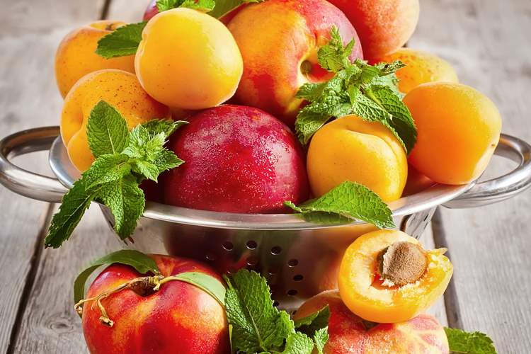 Новинки сезона: абрикосы, нектарины, персики