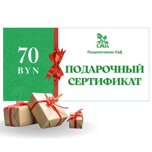 Подарочный сертификат на  70 BYN в Минске