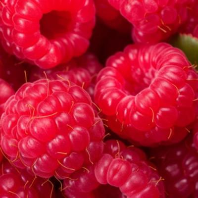 Красная в Минске