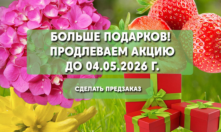 Акция: 2 подарка всместо 1, при оформлении заказа до 04.05.2026