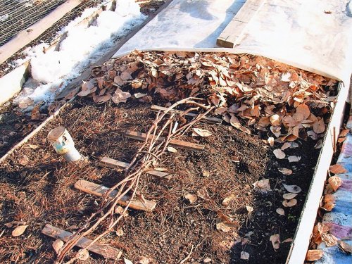 Комбинированное укрытие винограда.jpg